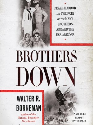 cover image of Brothers Down